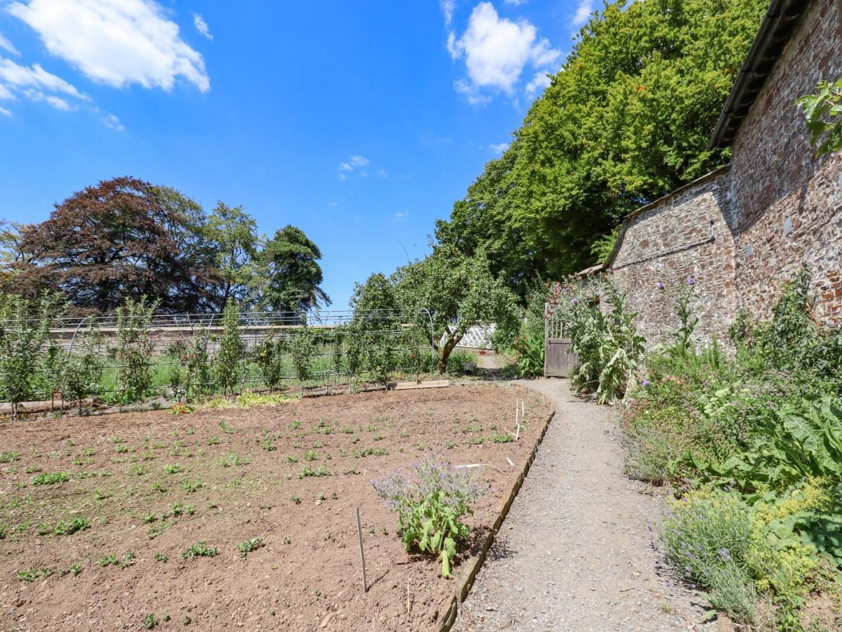 Nethercott House Winkleigh Eksteriør bilde