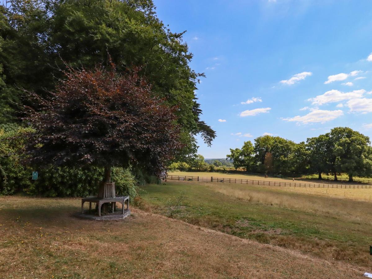 Nethercott House Winkleigh Eksteriør bilde